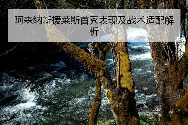 阿森纳新援莱斯首秀表现及战术适配解析